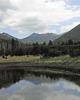 photo thumbnail #11