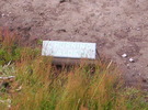 photo thumbnail #12