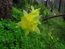 photo thumbnail #3