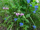 photo thumbnail #8