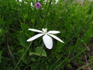 photo thumbnail #10