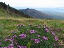 photo thumbnail #11