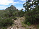 photo thumbnail #12