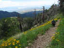 photo thumbnail #14