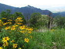 photo thumbnail #15