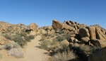 photo thumbnail #6