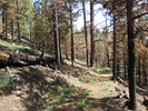 photo thumbnail #5