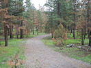 photo thumbnail #13