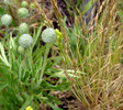 photo thumbnail #11