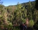 photo thumbnail #1