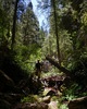 photo thumbnail #11