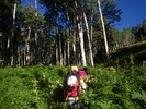 photo thumbnail #2