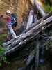photo thumbnail #8