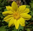 photo thumbnail #10