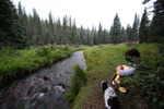 photo thumbnail #12