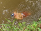 photo thumbnail #14