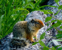 photo thumbnail #2