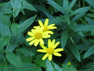 photo thumbnail #11