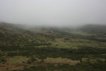 photo thumbnail #15