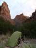 photo thumbnail #5