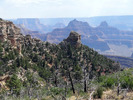 photo thumbnail #11