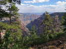 photo thumbnail #15