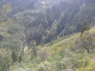 photo thumbnail #12