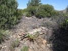 photo thumbnail #2