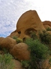 photo thumbnail #12
