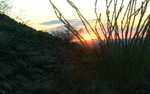 photo thumbnail #14