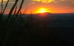 photo thumbnail #15