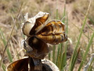 photo thumbnail #4