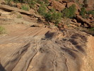photo thumbnail #7