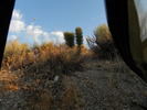 photo thumbnail #1