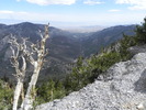 photo thumbnail #7