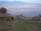 photo thumbnail #3