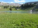 photo thumbnail #13