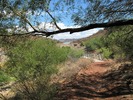 photo thumbnail #2
