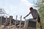 photo thumbnail #10