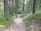 photo thumbnail #3