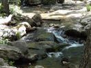 photo thumbnail #11