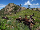 photo thumbnail #8