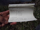 photo thumbnail #11