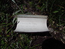 photo thumbnail #14