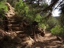 photo thumbnail #1