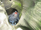 photo thumbnail #5