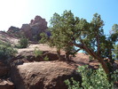 photo thumbnail #12