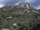 photo thumbnail #1