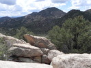 photo thumbnail #2