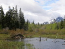 photo thumbnail #4